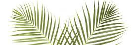 3 SW 200405 Palm Sunday header