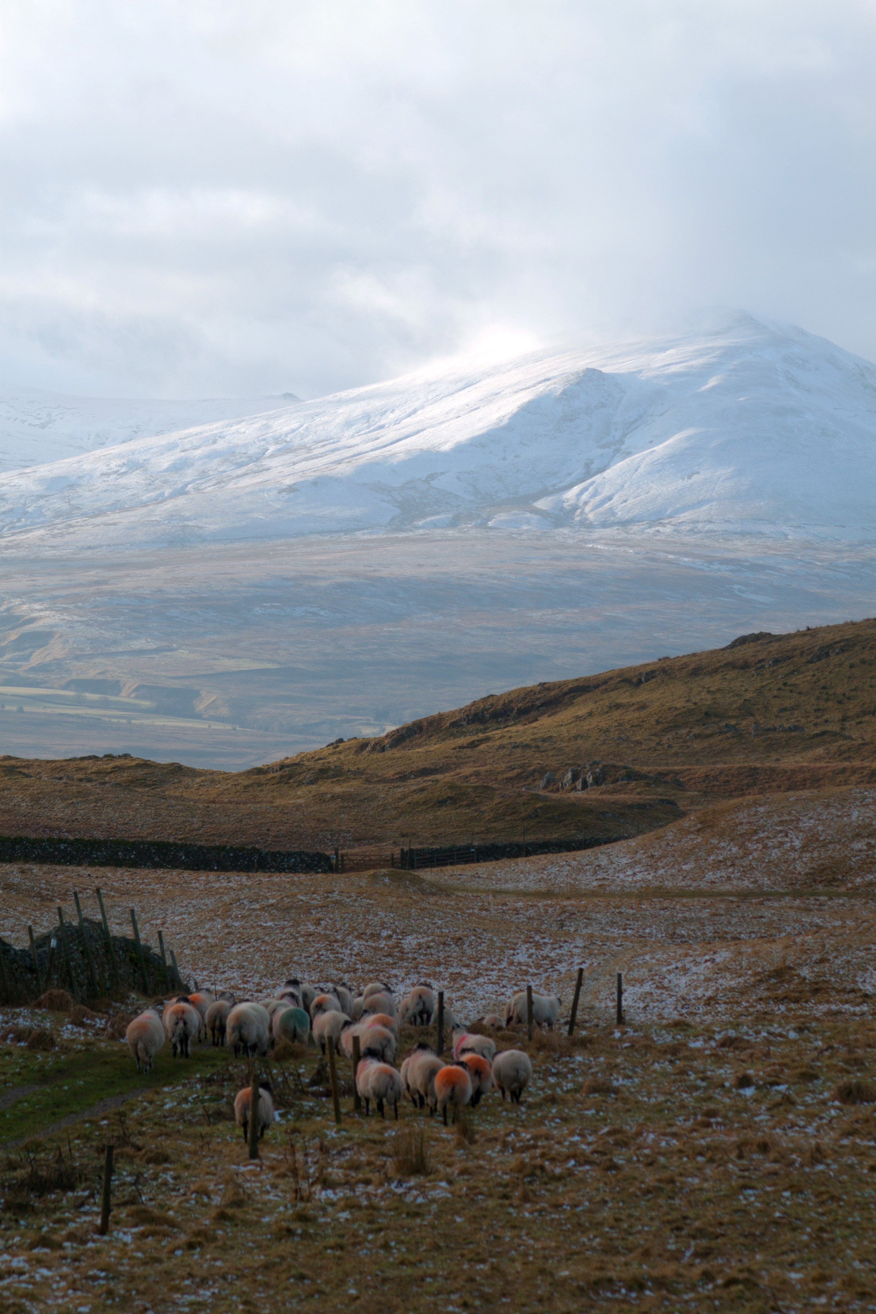 A4A 2020 Skinner Lake District