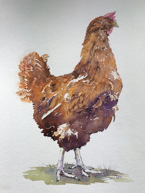 A4A 2020 Millington Rescue hen